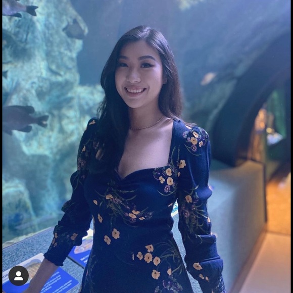 Reformation hunt dress Mademoiselle AUTHENTIC🍒 - Picture 15 of 17